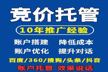 SEM服务托管：提升广告效果的成功案例解析
